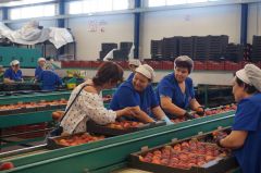 Συνάντηση Φρόσως Καρασαρλίδου με Συνεταιρισμούς του Ν. Ημαθίας