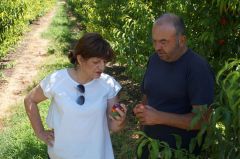 Επαφές της Φρόσως Καρασαρλίδου με ΕΛΓΑ και αγρότες για τις καταστροφές από τη θεομηνία . Άμεση στελέχωση του τοπικού ΕΛΓΑ με επιπλέον γεωπόνους