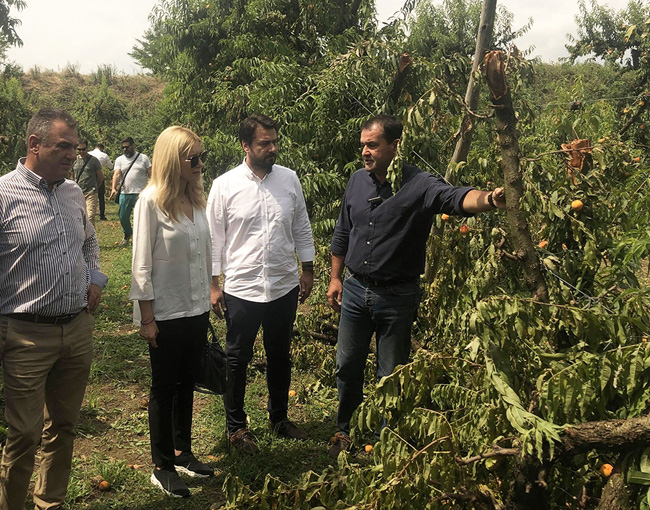 ΑΓΡΟΤΙΚΟΣ ΣΥΛΛΟΓΟΣ ΓΕΩΡΓΩΝ ΒΕΡΟΙΑΣ : Αυτοψία στις κατεστραμμένες φάρμες του Νομού Ημαθίας