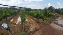 ΑΓΡΟΤΙΚΟΣ ΣΥΛΛΟΓΟΣ ΓΕΩΡΓΩΝ  ΒΕΡΟΙΑΣ: Για τις χθεσινές καταστροφές