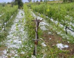 Ο Ν. Καρανικόλας: «Πρώτος στόχος της δημοτικής μας αρχής θα είναι η υποβοήθηση των συμπολιτών μας σε όλες τις κοινότητες. Δεν μπορείτε να μετακινείται «το βουνό προς τον Μωάμεθ»