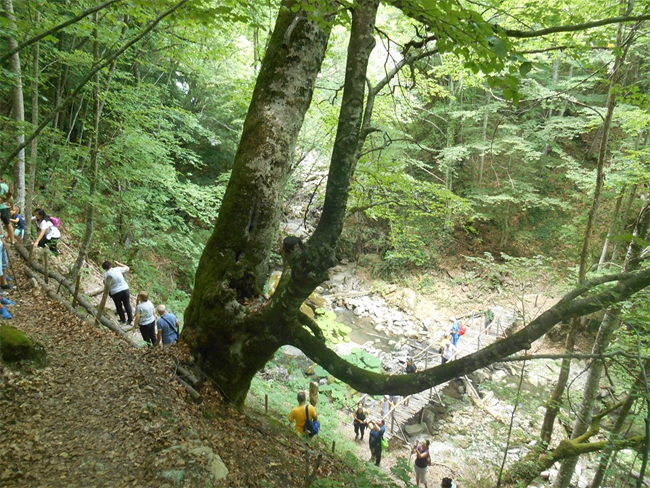 Διήμερο ταξίδι στις Βάθρες Μεταμόρφωσης 4&5/8/2019