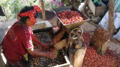 ΟΗΕ: 1,4 εκατ. άνθρωποι χρειάζονται επισιτιστική βοήθεια στην Κεντρική Αμερική