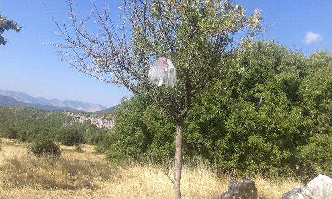 Όταν η χαρά του γάμου δεν … κρύβεται!