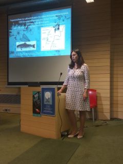 ΡΑΓΔΑΙΑ Η ΜΕΙΩΣΗ ΤΩΝ ΠΛΗΘΥΣΜΩΝ ΤΗΣ ΑΓΡΙΑΣ ΠΕΣΤΡΟΦΑΣ ΣΤΟΝ ΠΟΤΑΜΟ ΤΡΙΠΟΤΑΜΟ ΤΑ ΤΕΛΕΥΤΑΙΑ 15 ΧΡΟΝΙΑ