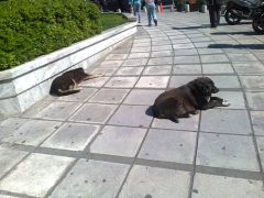 Συμβαίνει και αλλού…