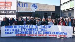 ΑΓΡΟΤΙΚΟΣ ΣΥΛΛΟΓΟΣ ΝΑΟΥΣΑΣ «ΜΑΡΙΝΟΣ ΑΝΤΥΠΑΣ»: Συμμετοχή στο συλλαλητήριο στη Θεσσαλονίκη