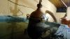 ΕΡΩΤΗΣΗ ΚΚΕ: Ζητά μέτρα για την ανεμπόδιστη διάθεση του χύμα τσίπουρου και τσικουδιάς