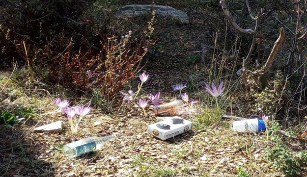ΠΕΡΙΑΣΤΙΚΑ ΠΕΡΙΒΑΛΛΟΝΤΙΚΑ… ΑΤΟΠΗΜΑΤΑ