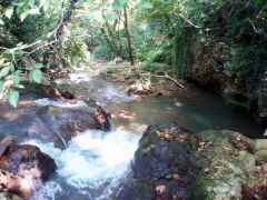 Κυριακάτικη βόλτα στον Τριπόταμο!