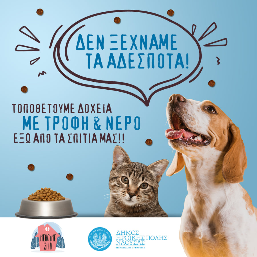 Αφίσα του Δήμου Νάουσας σχετικά με την μέριμνα για την φροντίδα αδέσποτων ζώων