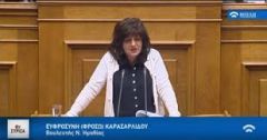 Φρόσω Καρασαρλίδου:  Κανένα μέτρο για τον αγροτικό και τουριστικό κλάδο;