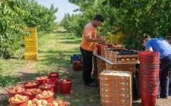 Το μεροκάματο στα χωράφια…