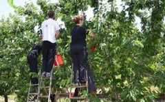 Σύσκεψη στη «νομαρχία» για το θέμα των Αλβανών εργατών γης
