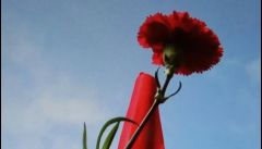 ΕΠΙΤΡΟΠΗ  ΑΓΩΝΑ ΑΓΡΟΤΟΚΤΗΝΟΤΡΟΦΩΝ ΑΛΕΞΑΝΔΡΕΙΑΣ :  ΑΓΩΝΙΣΤΙΚΟ  ΚΑΛΕΣΜΑ ΕΝ ΟΨΕΙ ΤΟΥ ΕΟΡΤΑΣΜΟΥ ΤΗΣ  ΕΡΓΑΤΙΚΗΣ ΠΡΩΤΟΜΑΓΙΑΣ