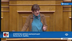 Φρόσω Καρασαρλίδου: «Φωνή βοώντος», από  ΕΛΓΑ και Κυβέρνηση για ζημιές κι αποζημιώσεις  αγροτών