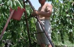 ΕΘΝΙΚΗ  ΔΙΕΠΑΓΓΕΛΜΑΤΙΚΗ  ΟΡΓΑΝΩΣΗ  ΠΥΡΗΝΟΚΑΡΠΩΝ  ΚΑΙ  ΑΧΛΑΔΙΩΝ : ΑΝΑΚΟΙΝΩΣΗ  ΓΙΑ ΤΟΥΣ  ΕΡΓΑΤΕΣ  ΓΗΣ     