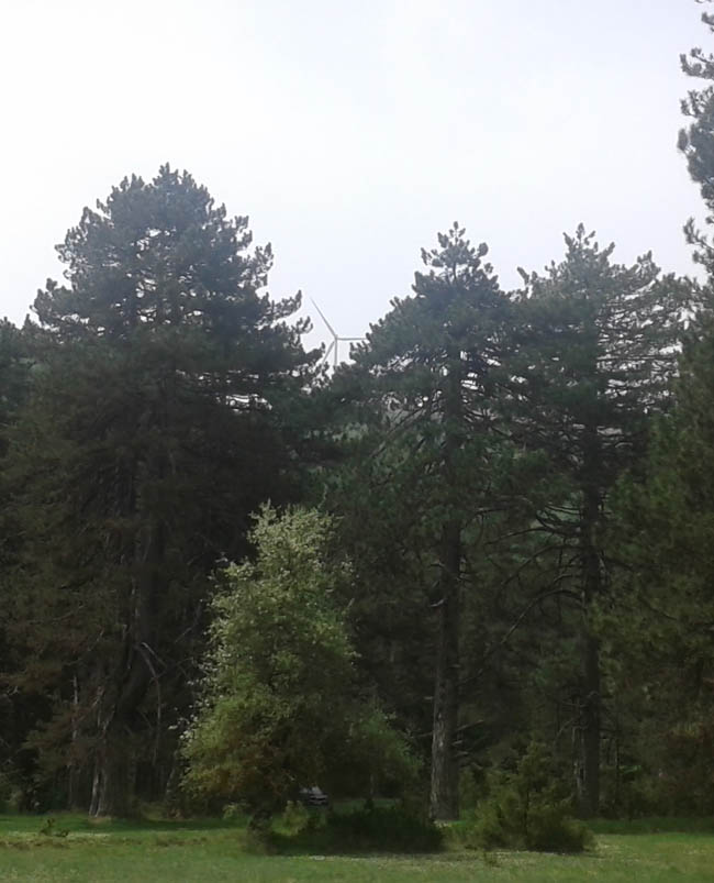 Με θέα ...τις ανεμογεννήτριες!