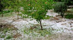 ΚΚΕ: Να αποζημιωθούν οι αγρότες της Πέλλας και της Ημαθίας για τις ζημιές από τον καιρό