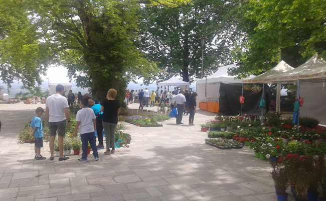 11η Ανθοκομική Έκθεση του Δήμου Νάουσας