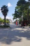 Δήμος Νάουσας: Προχωρά την Δευτέρα στον αποκλεισμό της οδού Μεγάλου Αλεξάνδρου (Τμήμα 1) στο πλαίσιο εργασιών που ξεκινούν για την ανάπλασή της