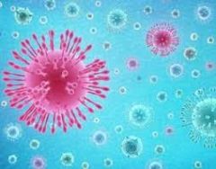 Κορωνοϊός: 24 νέα κρούσματα. 1 νέο στην Ημαθία