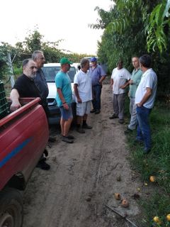 ΑΓΡΟΤΙΚΟΣ ΣΥΛΛΟΓΟΣ ΝΑΟΥΣΑΣ «ΜΑΡΙΝΟΣ ΑΝΤΥΠΑΣ»: Για τις τεράστιες καταστροφές στις καλλιέργειες 