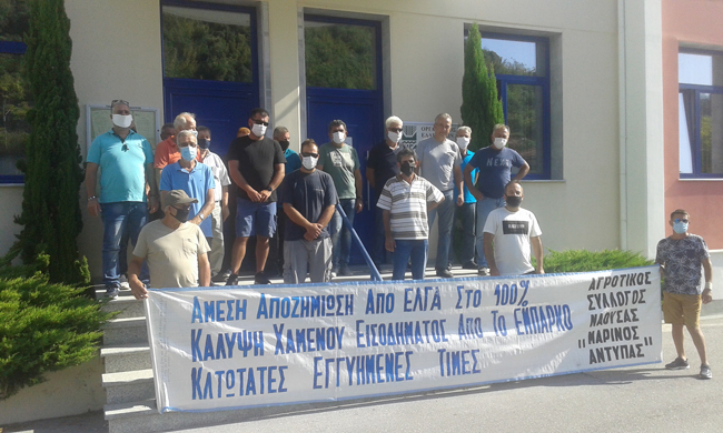 Την κάλυψη όλων των ζημιών στην παραγωγή (ζωική και φυτική) διεκδίκησαν σήμερα οι αγρότες και κτηνοτρόφοι με κινητοποίηση στον ΕΛΓΑ στη Βέροια