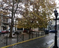 Πράσινο ή τραπεζοκαθίσματα;