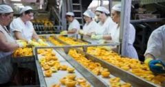 Σχετικά με τους εργαζόμενους στην επιχείρηση «ΚΡΟΝΟΣ Α.Ε»