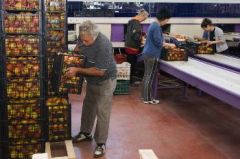 «Νόμος» η ανασφάλεια και η ανέχεια για τους εποχικά εργαζόμενους σε Ημαθία και Πέλλα:Με αντικομμουνισμό απάντησε ξανά  ο υπουργός Εργασίας σε Ερώτηση του ΚΚΕ για την προστασία των εργαζομένων