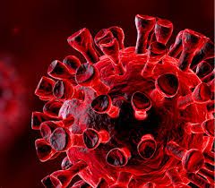 Ημερήσια έκθεση επιτήρησης COVID-19 (07/11/2020)