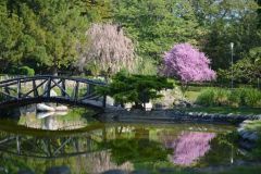 Εγκρίθηκε από το«Πράσινο Ταμείο» η πρόταση του Δήμου Νάουσας για το σύστημα ευφυούς άρδευσης σε χώρους αστικού πρασίνου,προϋπολογισμού 233.494 €