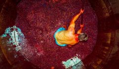 Με επιτυχία ολοκληρώθηκε ο φωτογραφικός διαγωνισμός «Ο τρύγος έχει αρχίσει-Νάουσα 2020» που διοργάνωσε ο Δήμος Νάουσας