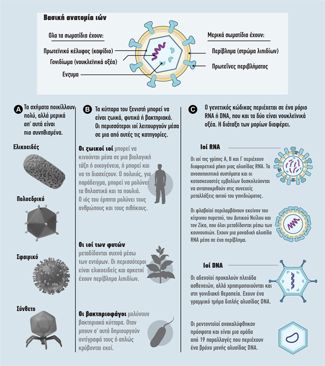 Συμβιώνοντας με τρισεκατομμύρια ιούς