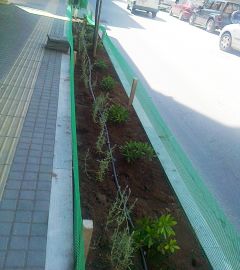 «Πρασίνισε» το κέντρο της Βέροιας