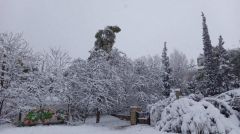 Στέλνουν τον στρατό να ανοίξει τον δρόμο ...στα συνεργεία του ΔΕΔΔΗΕ