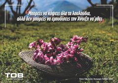 ΑΝΘΙΣΜΕΝΕΣ ΡΟΔΑΚΙΝΙΕΣ & ΠΟΙΗΣΗ