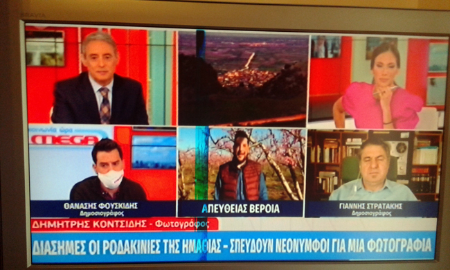 Μεγάλο το «σουξέ» για τις ανθισμένες ροδακινιές