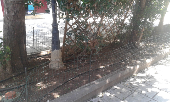 Ας μπουν λουλούδια!
