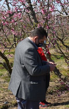 Κώστας Καλαϊτζίδης για παγετό: Είμαστε σε κατάσταση έκτακτης ανάγκης,  με ζημιές 100% και πρέπει να δοθούν άμεσα προκαταβολές αποζημιώσεων”