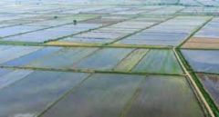 Παράταση ισχύος αποφάσεων παραχώρησης χρήσης εκτάσεων του Ελληνικού Δημοσίου στην   περιοχή  «Έλος Κλειδίου»