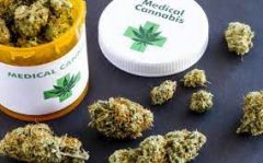 ΣΥΖΗΤΗΣΗ ΣΤΗ ΒΟΥΛΗ ΓΙΑ ΤΟ ΣΧΕΔΙΟ ΝΟΜΟΥ ΓΙΑ ΤΗ ΦΑΡΜΑΚΕΥΤΙΚΗ ΚΑΝΝΑΒΗ