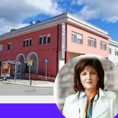 Ερώτηση της Φρόσως Καρασαρλίδου για τα δυο νοσοκομεία της Ημαθίας