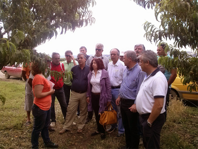 Κλιμάκιο του ΣΥΡΙΖΑ σε χαλαζόπληκτες περιοχές της Ημαθίας