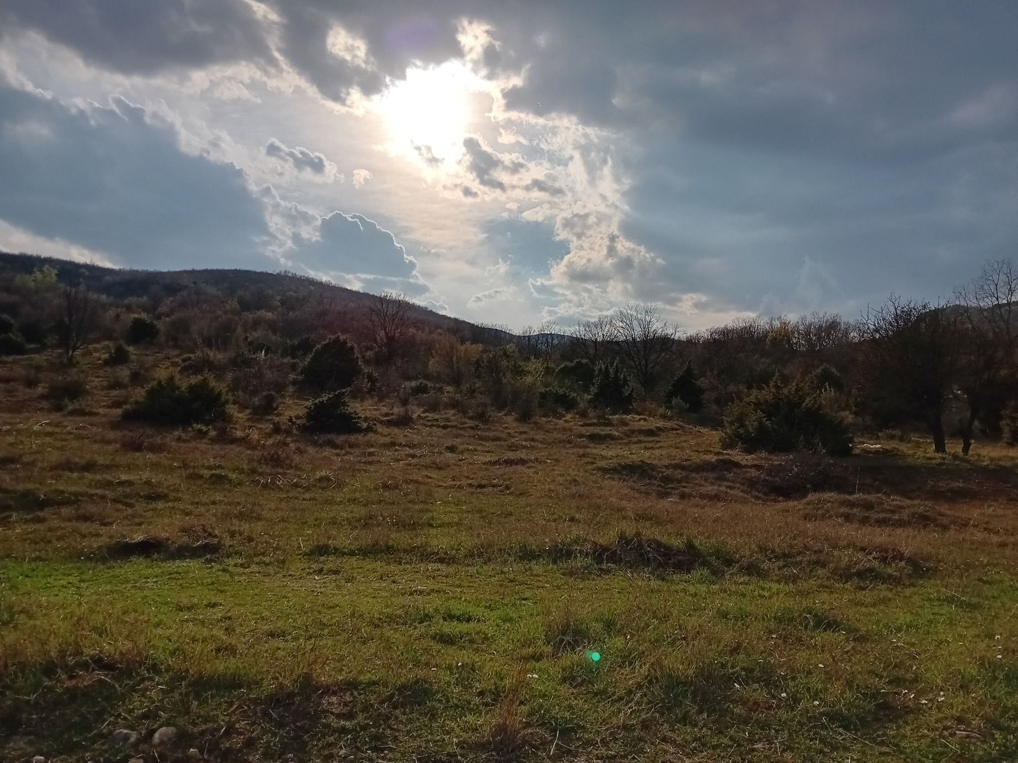 Στο Δάσος των Κέδρων, στο Γιαννακοχώρι Νάουσας