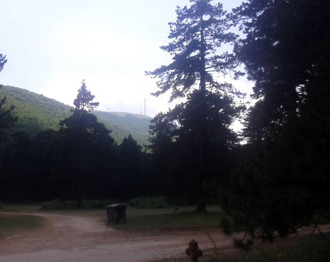 Και οι ανεμογεννήτριες;