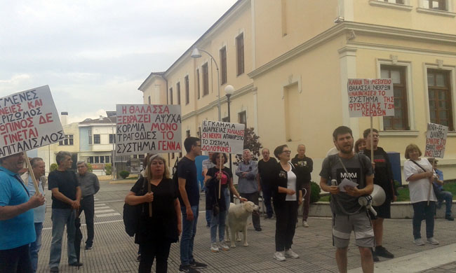 Πικετοφορία σωματείων στη Βέροια  για το πολύνεκρο ναυάγιο στην Πύλο