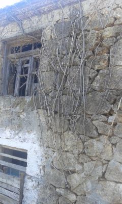 Ας σκεφτούμε βαθύτερα στις εκλογές