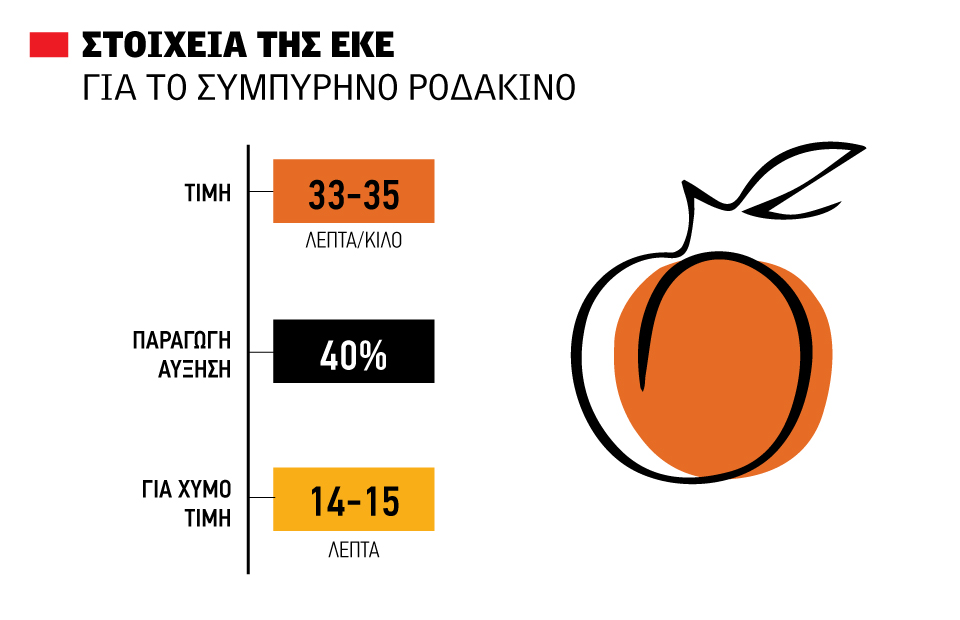 Ροδάκινα: Με «κλειστά χαρτιά» παραδίδεται η Κατερίνα, 35 λεπτά ζητάνε οι παραγωγοί